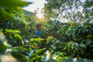 _Q5A1565(1) _Q5A1565(1)