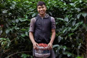 union cortador union cortador